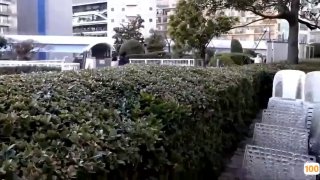 欧美绳艺视频_欧美亚洲精品成人视频